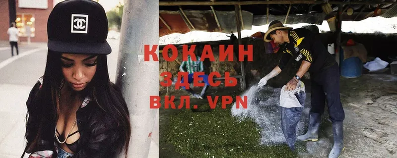 Cocaine VHQ  хочу   Выборг 